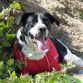 (9 meses) Esto de corretear por la playa agota. Un descansito....